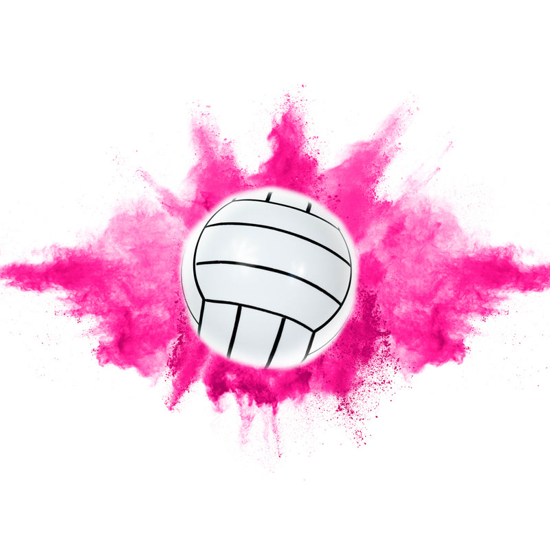 Gender Reveal Volleyball Kit