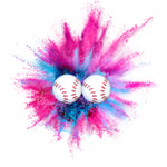 Gender Reveal Baseball - 1 Pink & 1 Blue
