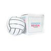 Gender Reveal Volleyball Kit